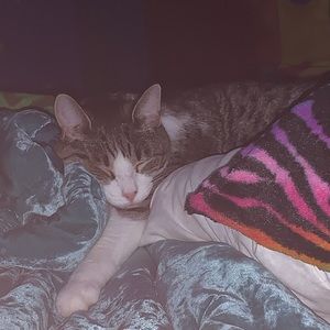 Meet your Posher, Ana